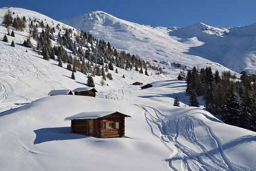 Erste Spuren im Schnee