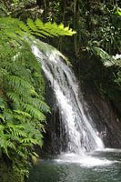 Idyllic waterfall in the jungle