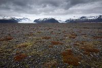 Lavaveld bij Skaftafell
