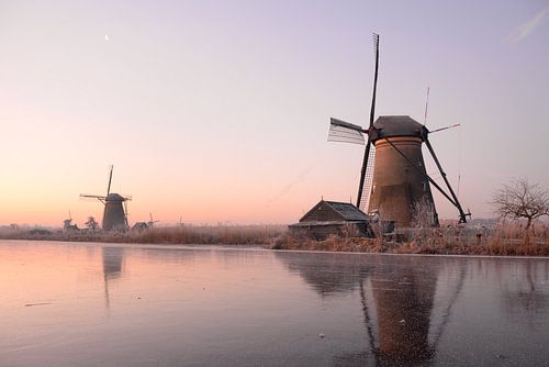 De winter wordt wakker