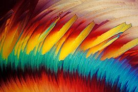  Penicillin   von André Wieringa