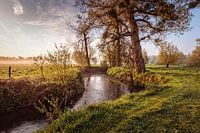 River Geul