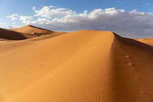 Mooie zandduinen in de woestijn van de Sahara, Marokko, Afrika
