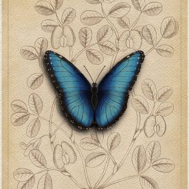 Gestileerde tekening van blauwe morpho vlinder van Marjolein Fortuin