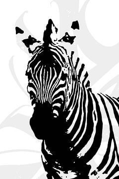 Wilde zebra van Stichtag