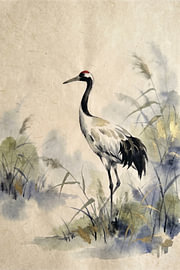 Graceful Red-Crowned Crane in Reeds by Syapaat syapaat
