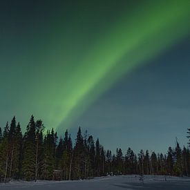 Aurora Borealis van Harold van den Hurk