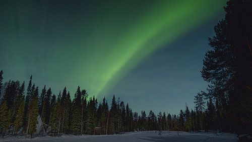 Aurora Borealis