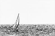 Minimalistisches Schwarz-Weiß-Kunstwerk eines Segelboots bei Vlissingen (Zeeland) von Art by Jeronimo Miniaturansicht