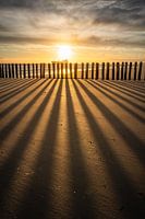 Long shadows