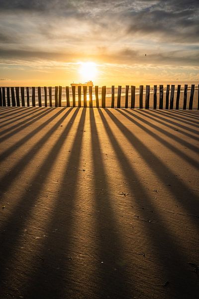 Long shadows by Jolanda Bosselaar