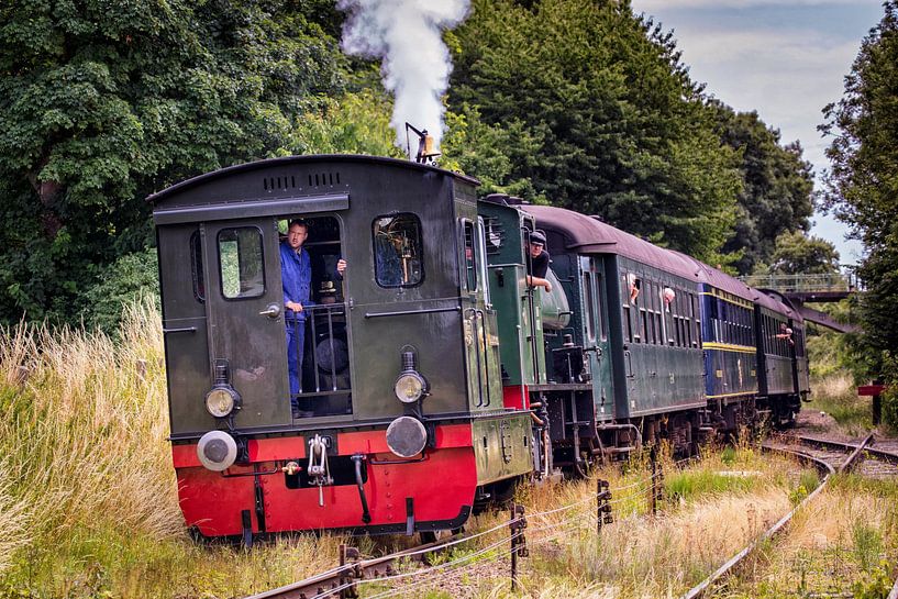 LTM26 and Auterity WD196 steam locomotives by Rob Boon