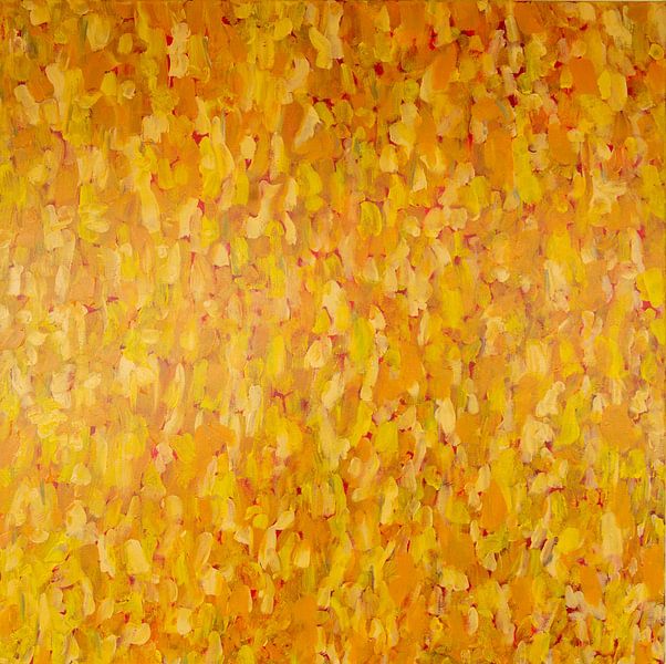 Variation jaune et rouge par Jan Fritz
