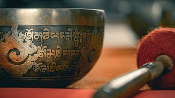 Bol chantant en silence