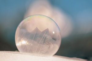 bulle congelée partie 1 sur Tania Perneel