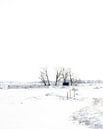 Winterlandschap van Dirk Verweij thumbnail
