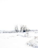Winterlandschap