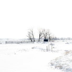 Winterlandschap van Dirk Verweij