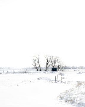 Winterlandschaft von Dirk Verweij