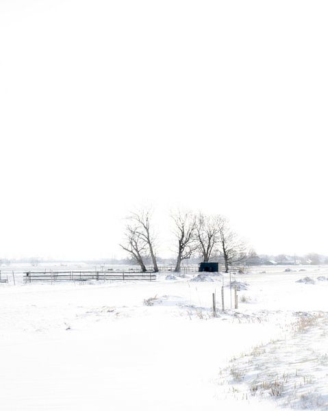Winterlandschap van Dirk Verweij