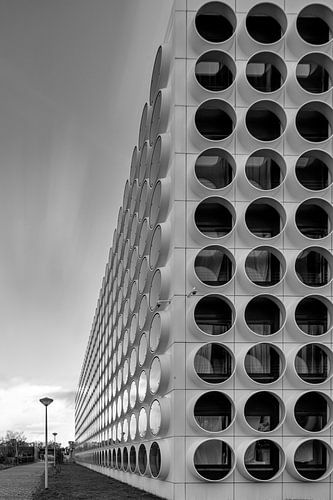 Student experience in Amsterdam