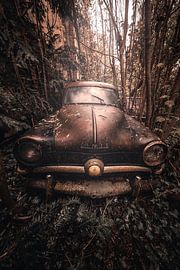 Verloren in der Zeit von Christophe Van walleghem