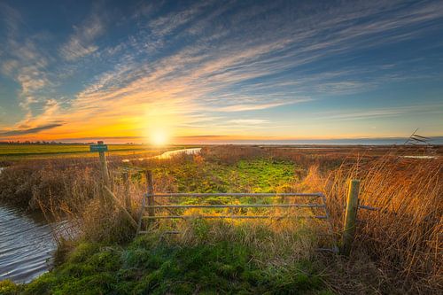 Sonnenaufgang im Polder Schellinkhout, am Markermeer gelegen