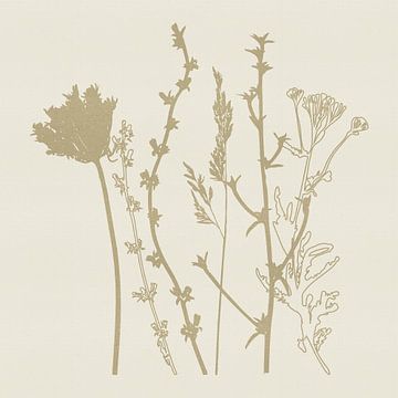 Beige zomerbloemen op crème van Dina Dankers