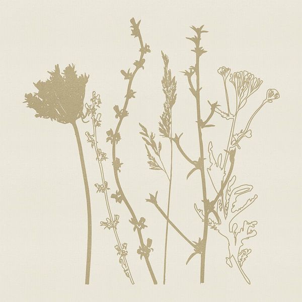 Beige summer flowers on cream by Dina Dankers