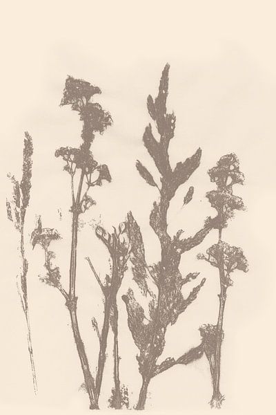Abstracte botanische kunst. Weide bloemen. van Dina Dankers