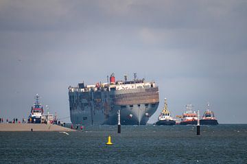 Disaster ship Fremantle Highway by Jan Georg Meijer