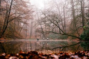 Park Sonsbeek Teil 1 von Tania Perneel