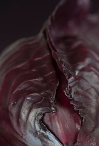 Red cabbage by Nicky Schouten