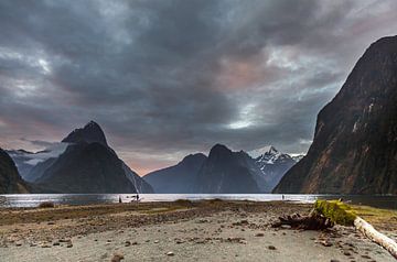 Milford Sound in de vroege avonduren van Paul de Roos