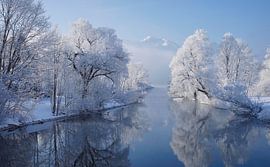 coldest morning by Norbert Maier