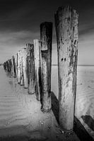 The lines of the breakwaters