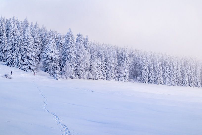 Tour de ski de fond par un temps impérial dans la forêt enneigée de Thuringe près de Floh-Seligenthal - Thuringe - Allemagne par Oliver Hlavaty
