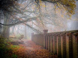 Estate Backershagen in the fog by Dirk van Egmond