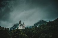 Neuschwanstein Castle in the fog by Tobias Reißbach thumbnail
