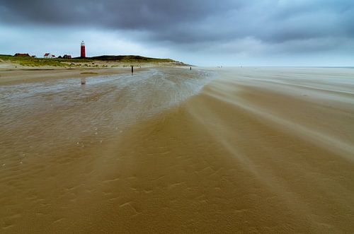Texel 14