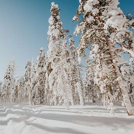 Winter in Lapland van Mieke Broer