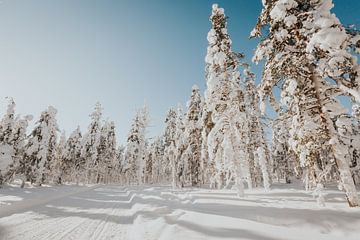 Winter in Lapland van Mieke Broer