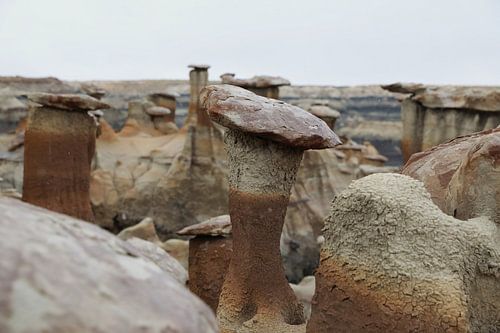 Bisti Badlands, chocolade hoodoos, New Mexico, VS