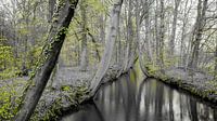 Oelerbeek bij Delden. van Jaap Bosma Fotografie thumbnail