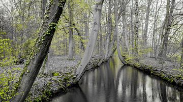 Oelerbeek près de Delden. sur Jaap Bosma Fotografie