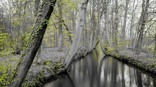 Oelerbeek near Delden.