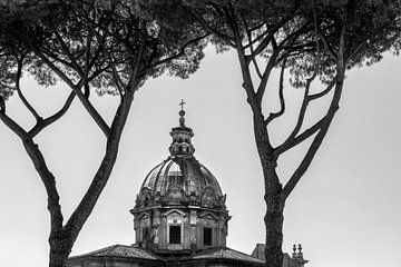 Dome of the Santi Luca e Martina church in Rome