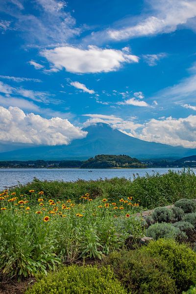 Mount Fuji by Hello Pompoyo