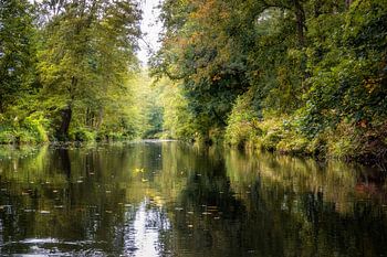 Automne Spreewald