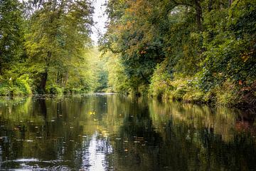 Spreewald Autumn by Tim Lee Williams